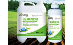 哪里有亞磷酸鉀 大量供應(yīng)高性價(jià)亞磷酸鉀 濰坊神邦生物肥業(yè)股份