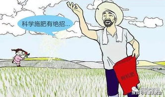 源沃肥業(yè)提示 冬季土壤翻耕與施用有機(jī)肥