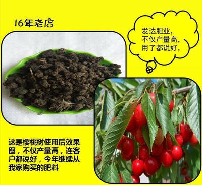 【正定批發(fā)石家莊蔬菜專用雞糞有機(jī)肥 果樹草坪專用膨化顆粒雞糞】?jī)r(jià)格_廠家_圖片 -