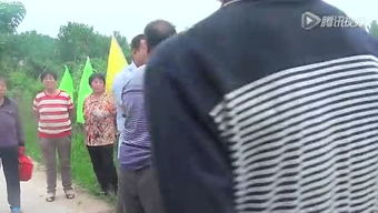 河北禾稼肥業(yè)的個(gè)人頻道