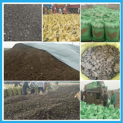 山東菏澤干雞糞|雞糞價(jià)格|臨沂干雞糞廠(chǎng) 綠沃肥業(yè)_石家莊綠沃肥業(yè)